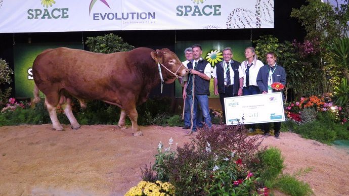 Grimpy, prix d'honneur mâle, vient de Cotes d'Armor. 
