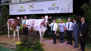 Hedwig (à gauche) et Fuschia (à droite), respectivement grande championne et réserve de championnat en race Pie Rouge. (©Arsoe) Hedwig (à gauche) et Fuschia (à droite), respectivement grande championne et réserve de championnat en race Pie Rouge. (©Arsoe)