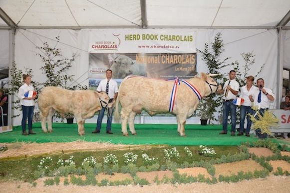 Helvetie Grande Championne 2015