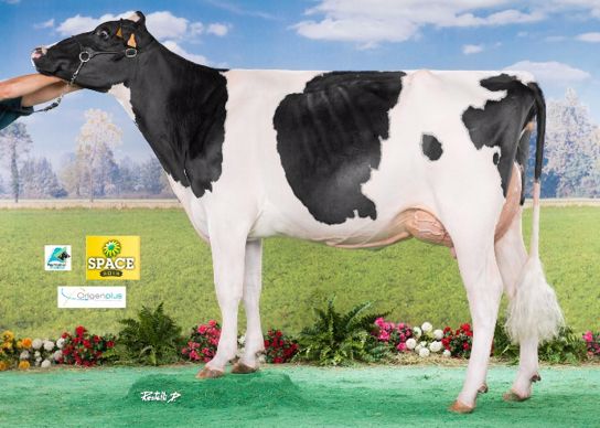  Du Bon Vent Inkapi - Réserve Championne Espoir et Meilleure Mamelle Espoir – Gaec Du Bon Vent (56 Locqueltas)
