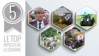 Top articles de la semaine sur Web-agri. (©Terre-net Média) Top articles de la semaine sur Web-agri. (©Terre-net Média)