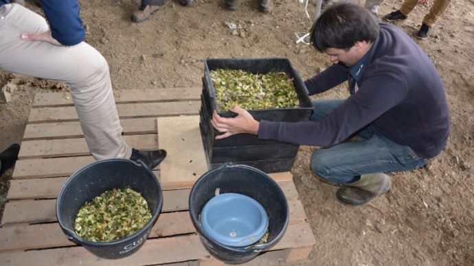 Passer l'ensilage au tamis secoueur