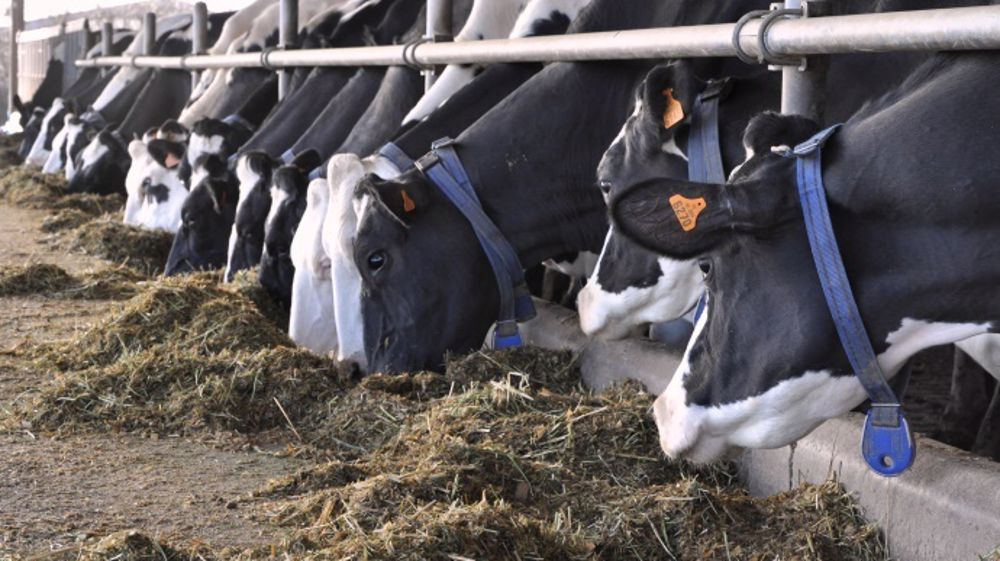 (©Terre-net Média)