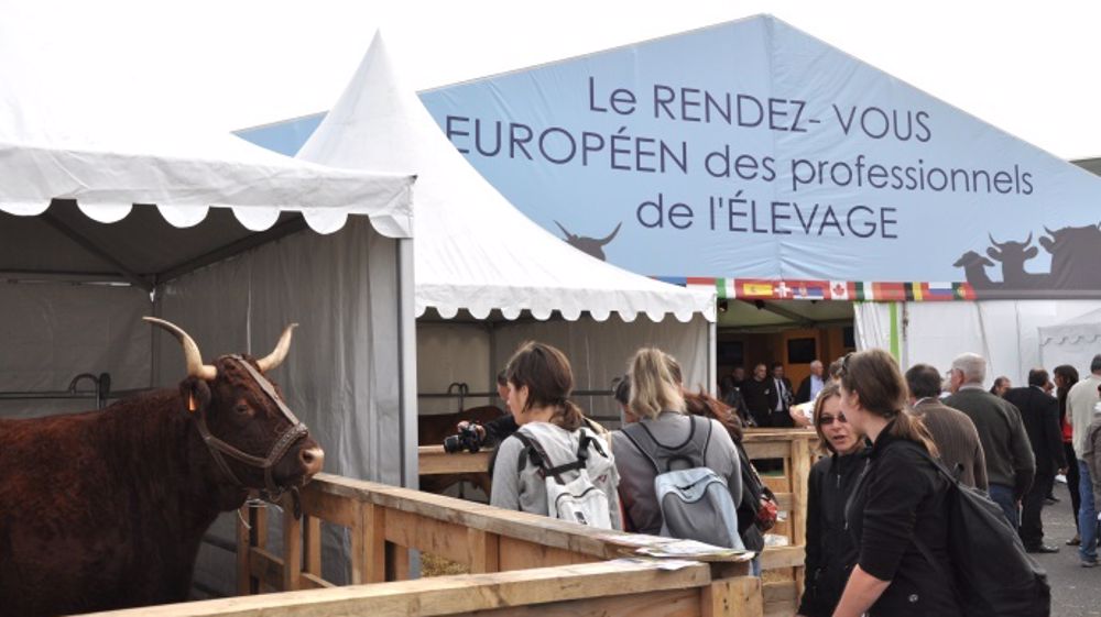 Il n'y aura pas de bovins pour l'édition 2015 du Sommet de l'élevage. (©Terre-net Média)