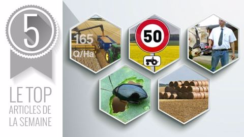 Les cinq articles du Top articles de la semaine sur Terre-net. (©Terre-net Média)