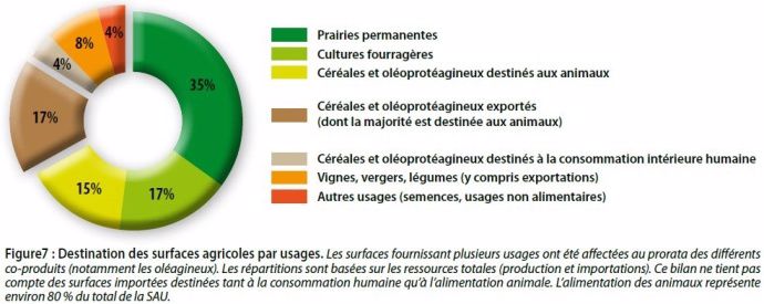 Destination des surfaces agricoles par usages