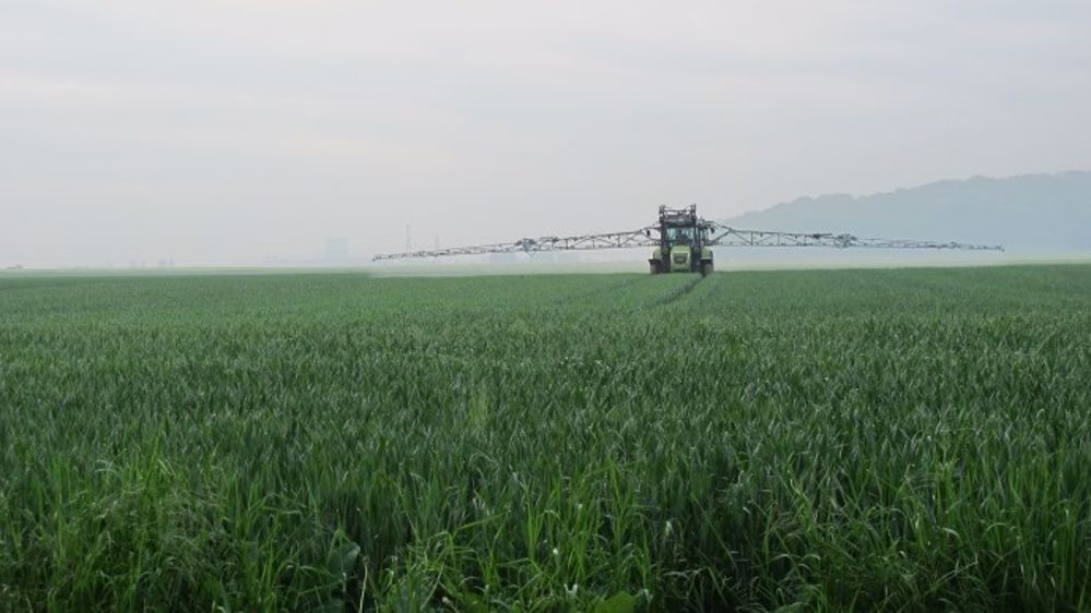 Fongicide en T1 sur blé. Grâce à Broadway, Adama vise le développement de ses parts de marché sur le segment T1 de la protection fongicide. (©Terre-net Média)