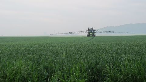 Fongicide en T1 sur blé. Grâce à Broadway, Adama vise le développement de ses parts de marché sur le segment T1 de la protection fongicide. (©Terre-net Média)
