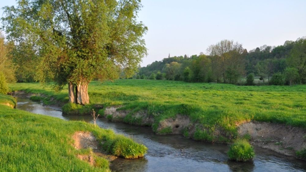 En séquestrant le carbone, les surfaces en herbe offrent au secteur agricole un potentiel important de réduction des émissions de gaz à effet de serre. (©Terre-net Média) 