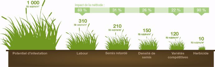 Bénéfice des solutions agronomiques combinées aux herbicides (synthèse de 80 expérimentations sur vulpin - Rothamsted 2013)