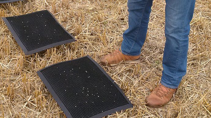 Une photo de chaque tapis permet l'analyse de la répartition de l'engrais.