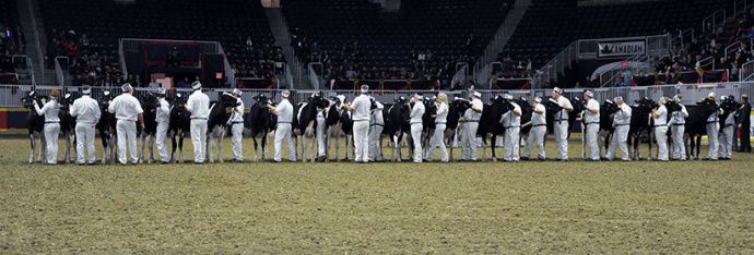 La Royale clôture la saison des concours au Canada