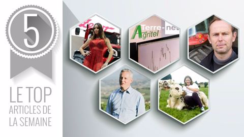 Top articles de la semaine sur Terre-net. (©Terre-net Média) 