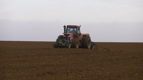 38 % des surfaces semées en Ukraine n'ont pas encore levé. (©Terre-net Média)