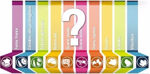 Quels revenus agricoles pour 2015 ? (©Terre-net Média)