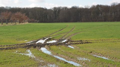 Les passages d'engins dans une parcelle peuvent entraîner tassement et compaction néfastes aux cultures. (©Terre-net Média)