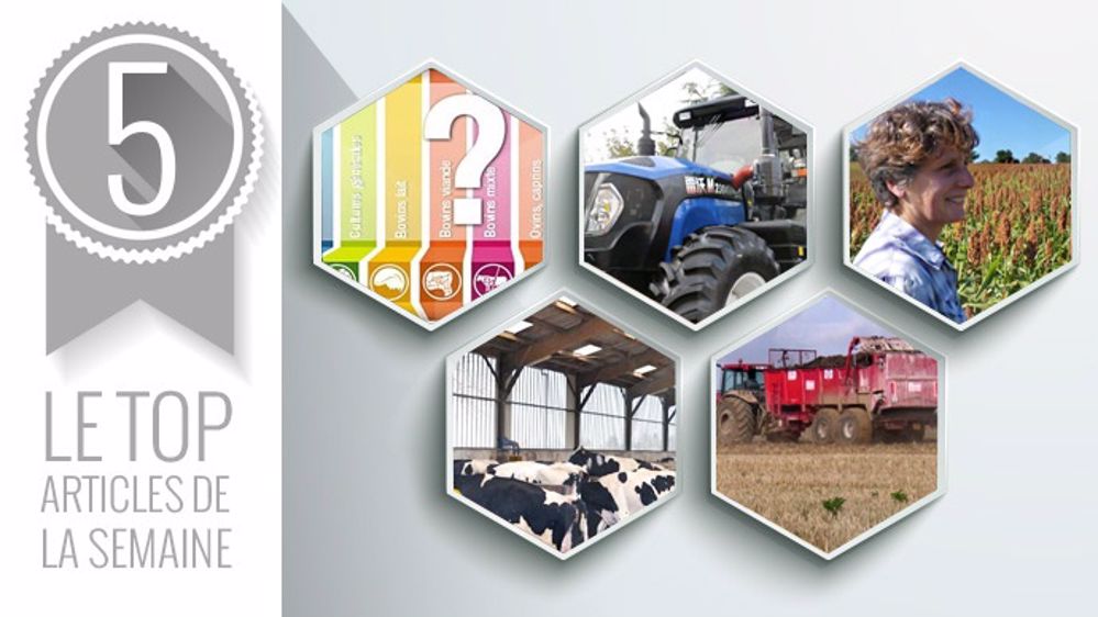 Le Top articles de la semaine sur Terre-net. (©Terre-net Média)