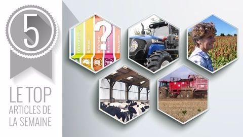 Le Top articles de la semaine sur Terre-net. (©Terre-net Média)