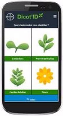 Appli agricole Dicot'ID de Bayer CropScience