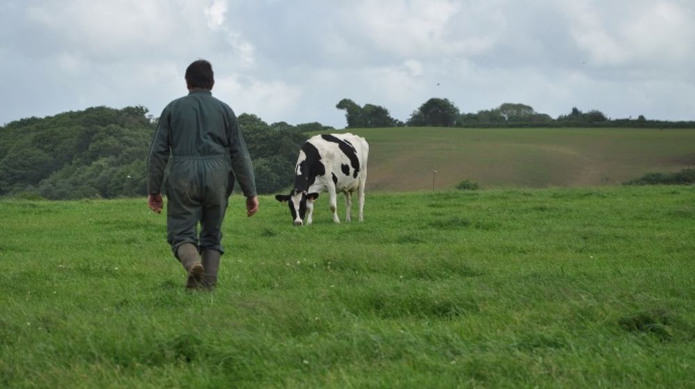 Les agriculteurs ont jusqu'au 31 janvier 2016 pour déposer leur dossier complet de demande de restructuration de leurs dettes. (©Terre-net Média)