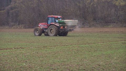 Fertilisation azotée du blé. (©Terre-net Média)