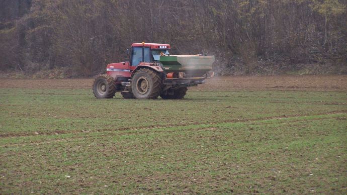 Fertilisation azotée du blé. 