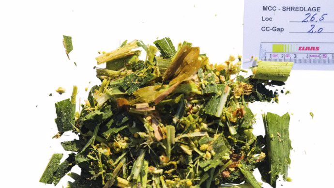 Plus grossier, le Shredlage est plus digestible.