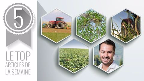 Le top articles de la semaine sur Terre-net. (©Terre-net Média )