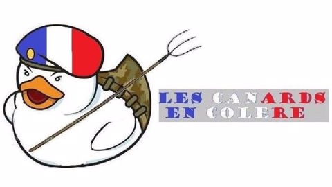 © Les canards en colère sur Facebook © Les canards en colère sur Facebook