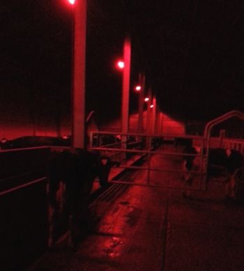 Eclairage âbtiemnt mulière rouge