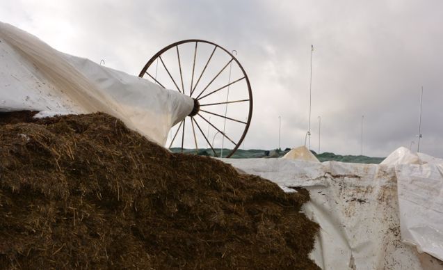 La bâche est enroulée sur une barre roulante.