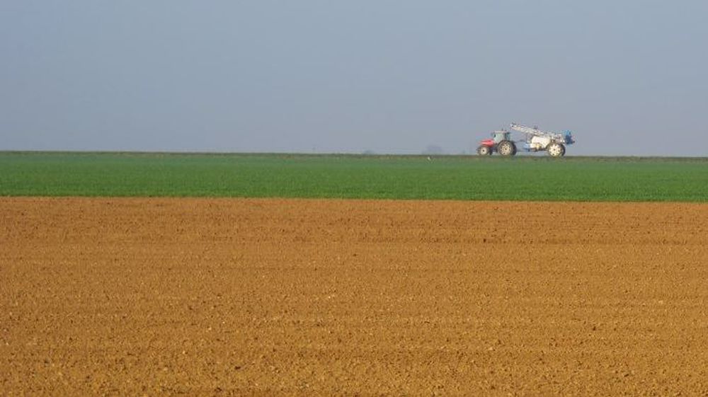Les parcelles devront sans doute être protégées contre la rouille jaune plus tôt que les années précédentes. (©Terre-net Média)