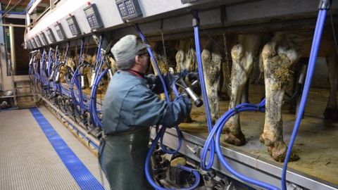 Le CGAAER préconise notamment de statuer rapidement sur la cessibilité et la marchandisation des contrats laitiers. (©Terre-net Média)