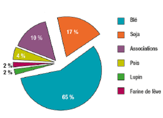 Le blé et le soja sont les principales sources de protéines végtales alimentaires