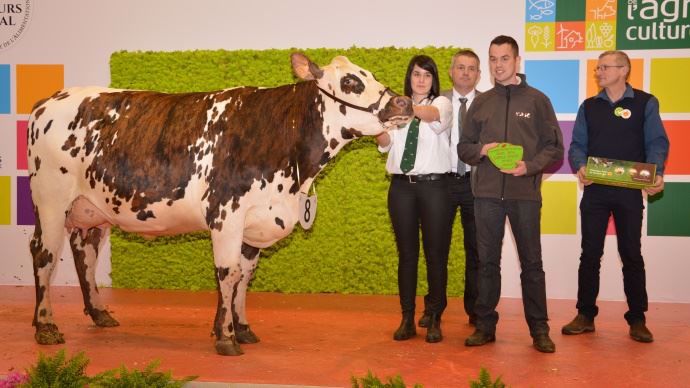 Doté de trés bons aplombs, Indianna (Aubray x Redondo) au Gaec Piou - Toubanc (49) est sacrée championne jeune