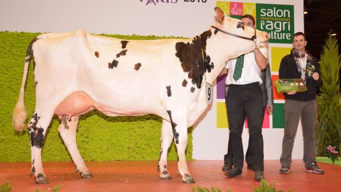 Meilleure mamelle jeune pour Iatine (Atome x Ulozon) au Gaec des Landes du Tertre (44)