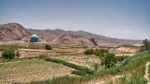 Agriculture en Iran, des contrastes et des opportunités à saisir. (©Fotolia)