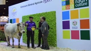 Divine, championne Gasconne 2016. (©Sia) Divine, championne Gasconne 2016. (©Sia)