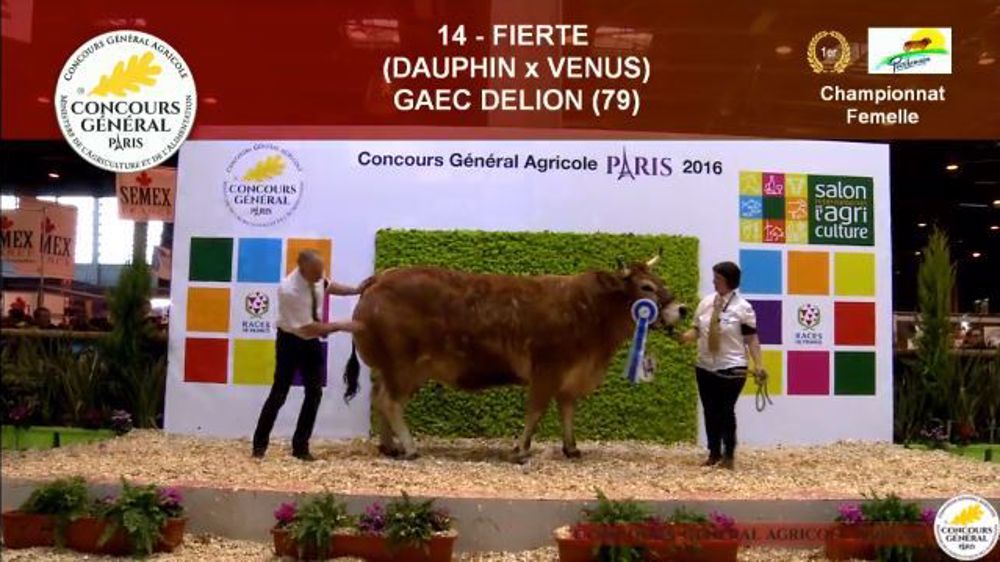 Fierté, championne Parthenaise au Sia 2016. (©Sia)