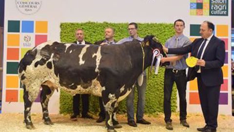 Gueuze (Lennie x Vodka), grande championne de la race Blanc Bleu (©Sia) Gueuze (Lennie x Vodka), grande championne de la race Blanc Bleu (©Sia)