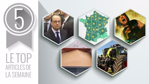 Articles les plus lus sur Terre-net cette semaine. (©Terre-net Média) Articles les plus lus sur Terre-net cette semaine. (©Terre-net Média)