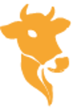 vache