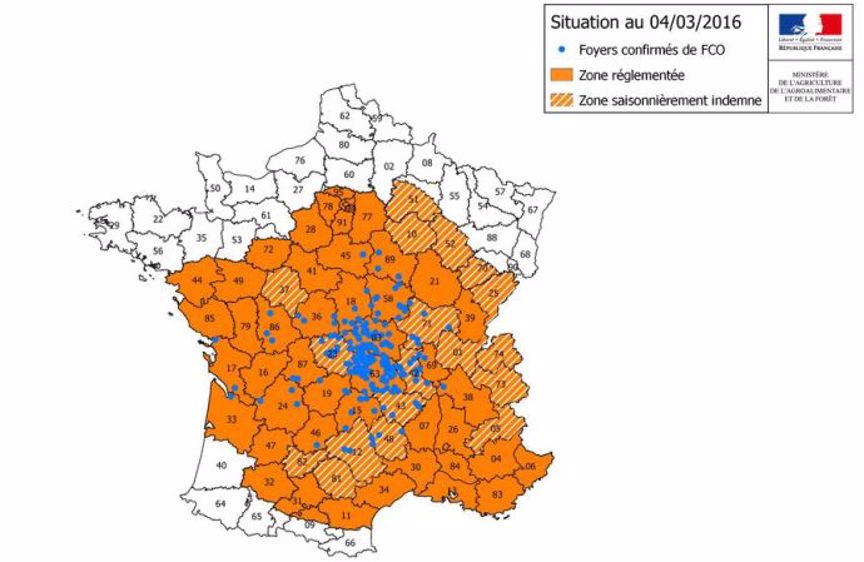 Carte de la situation FCO au 4 mars 2016. De nouveaux foyers dans la Vienne, la Charente-Maritime et la Gironde ont fait progresser la zone réglementée vers l'ouest. (© <a target="_blank" href="http://agriculture.gouv.fr/liste-des-departements-et-des-communes-classes-en-zone-reglementee-fco">Ministère de l'agriculture</a>) 