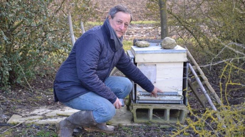 Jacques Mercier héberge depuis 15 ans les ruches d'un apiculteur sur son exploitation. (©Terre-net Média)