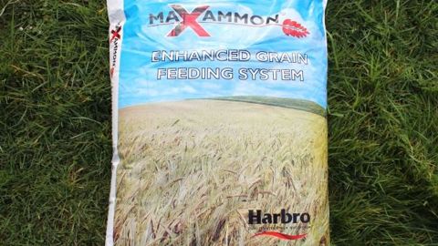 Le Maxammon a été inventé au Royaume-Uni où il permet d’améliorer la valeur nutritionnelle des grains. (©DR) Le Maxammon a été inventé au Royaume-Uni où il permet d’améliorer la valeur nutritionnelle des grains. (©DR)