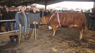 Championne du concours appartenant à la SARL Marzet de Magnac-Laval (87) et achetée par la société Lesveques pour le Carrefour de Mérignac. (©Acti-Ouest) Championne du concours appartenant à la SARL Marzet de Magnac-Laval (87) et achetée par la société Lesveques pour le Carrefour de Mérignac. (©Acti-Ouest)