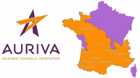Auriva-Elevage regroupe 10 coopératives d'insémination adhérentes à un ou plusieurs programme(s) de sélection. (©DR)