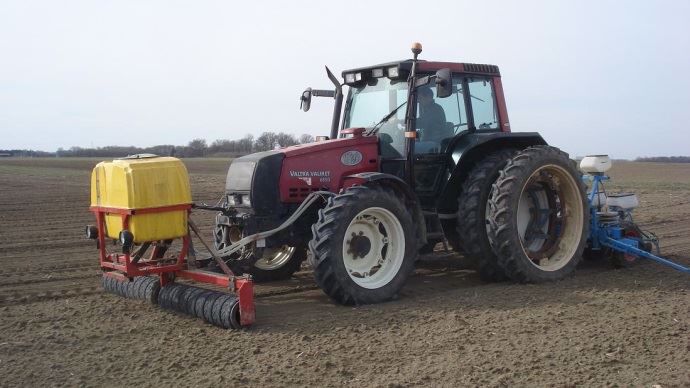 Semis de betteraves