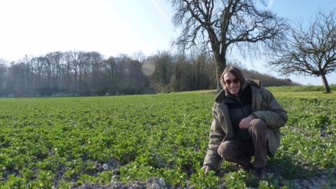 En bio depuis 2002, Éric Givelet cultive 7 ha de féveroles qu’il vend en direct sur pied à son voisin éleveur, Norbert Doedens. (©Terre-net Média) En bio depuis 2002, Éric Givelet cultive 7 ha de féveroles qu’il vend en direct sur pied à son voisin éleveur, Norbert Doedens. (©Terre-net Média)