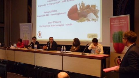 (De g. à d.) Christiane Lambert, David Gouache, Raphaël Dumain, Isabelle Goldringer et Nicolas Bouzou ont débattu autour de l'innovation variétale en blé. (©Terre-net Média) (De g. à d.) Christiane Lambert, David Gouache, Raphaël Dumain, Isabelle Goldringer et Nicolas Bouzou ont débattu autour de l'innovation variétale en blé. (©Terre-net Média)